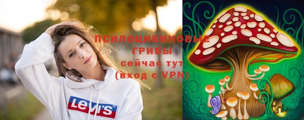 хмурый Сосновка