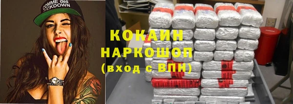 гашик Снежногорск