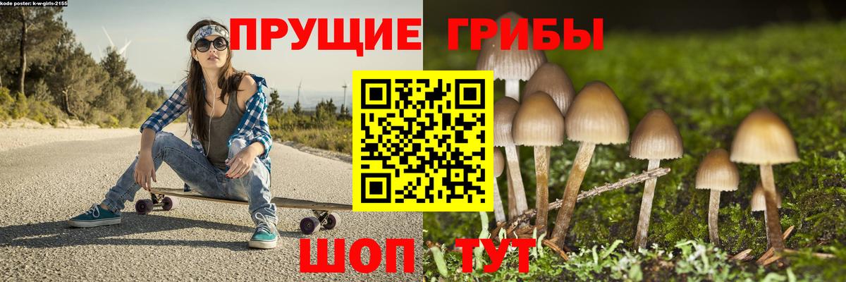 Псилоцибиновые грибы Psilocybe  Псилоцибиновые грибы GOLDEN TEACHER  Мытищи  Вход с VPN 