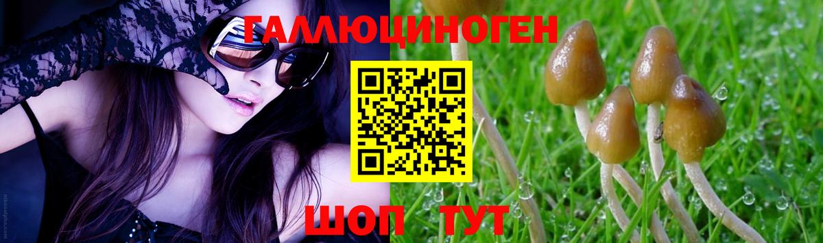 Псилоцибиновые грибы GOLDEN TEACHER Мытищи