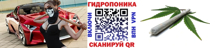 Конопля конопля  Мытищи 